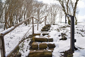 bridge in winter forest