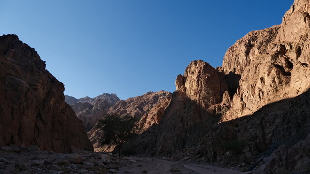 Sinai Mountains And Oaisis