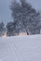 Obraz na płótnie Canvas Magical winter in the park. Beautiful sky and white snow