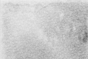 Photogram, rayogram, photo paper development