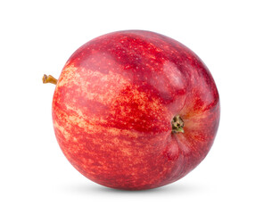 apple isolated on white