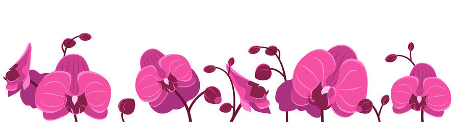 Horizontal seamless pattern with orchid flowers. Design for frames or borders. Botanical vector illustration in flat style on white background © Маруся Палкина