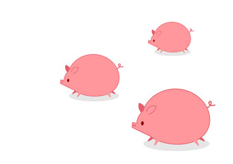Cute Pig on white background. Pig character design.