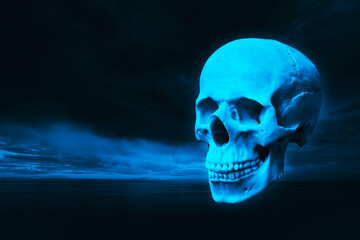 human skull on a dark blue .