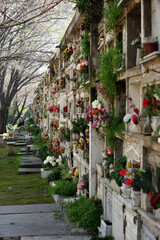 Fototapeta na wymiar Friedhof mit Urnengräbern und Blumen in Chile