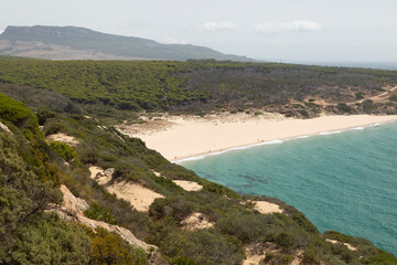 Landscape view of sunny pine trees at noon, and of El Cañuelo beach, within the Estrecho Natural Park, Cadiz province, Spain