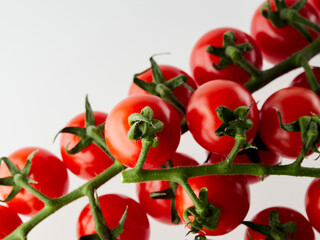 A bouquet of fresh red tomatoes with green stems isolated on a white background. The outline of the crop.