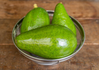 avocado-1