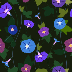Vector seamless pattern with contrast blue and purple ipomoea flowers on a darkgreen background on the vines with green leaves