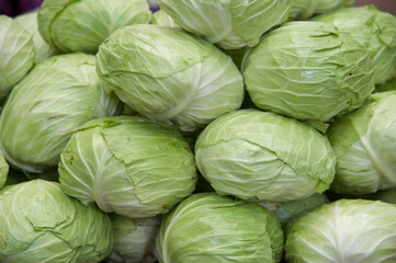 cabbage in the market, close up