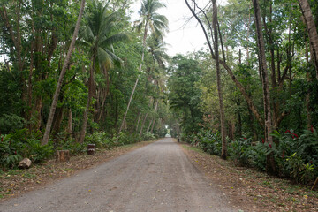 Camino