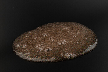 Coral transparent slime with bubbles inside on black background. Kids toy slime.