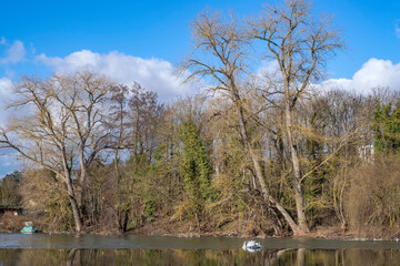 The banks of the Lahn near Limburg/Germany on a sunny winter day 