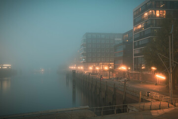 Nebel am Grasbrookhafen Hamburg