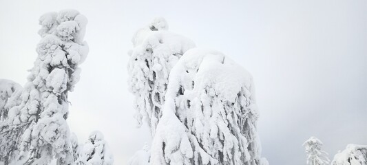 Winter in Permsky Kray, Russia