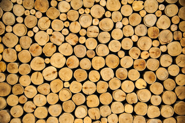 pile of wood with texture