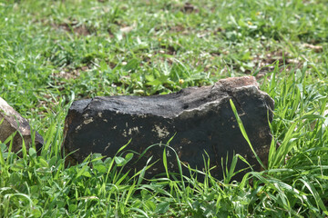 stone in the grass