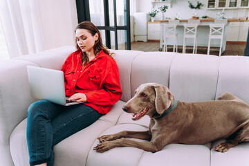  Woman playing with her dog in the living room and working with computer