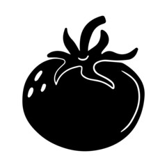 Hand drawn tomato, doodle black vegetable.