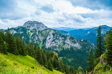 Naklejka premium Germany, Tegelberg mountain summit view in allgaeu bavaria nature landscape with colorful alps flowers on green meadow