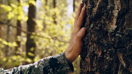 Hand touch the tree trunk. Man hand touches a pine tree trunk, close-up. Human hand touches a tree trunk. Bark wood. Wild forest travel. Ecology - a energy forest nature concept.. - obrazy, fototapety, plakaty