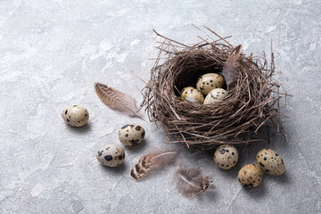 Small quail eggs in bird nest for Easter day