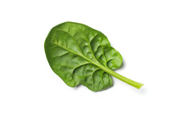 Fresh spinach leaves as ingredient for helthy food