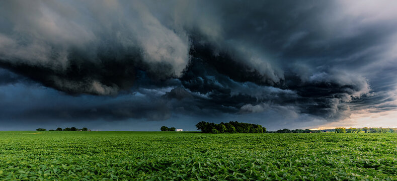 Storm clouds over spring field