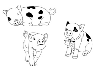 Set of cute pigs. Collection of mini pigs with a bow. Vector illustration isolated on white background.