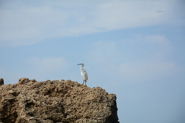 Scenic view of rocky Mediterranean coast. Peaceful day  in northern Israel.