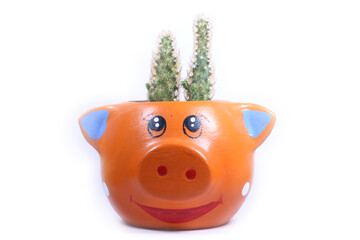 piggy bank with flower