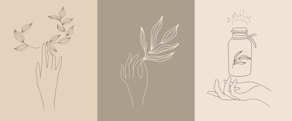A set of female hand emblems in a minimalistic linear style. Gestures of hands holding a branch with leaves. For cosmetics design, beauty studio