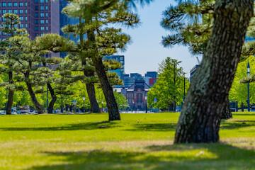東京の都市風景 皇居外苑から見える東京駅
