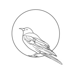 Bird on a branch. Raven in a circle illustration on a white background. Raven logo. Raven outline silhouette.