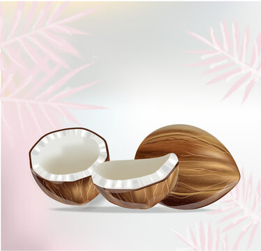 Coconut and palm leaves Vector realistic. Fresh sliced coconut fruit shells. Product placements
