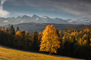 Colorful autumn near the Tatras. Peaks and hills bathed in the light of the setting sun. - obrazy, fototapety, plakaty