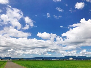 field and blue sky