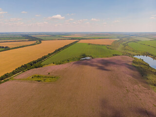Obraz premium view of a landscape with lavender field