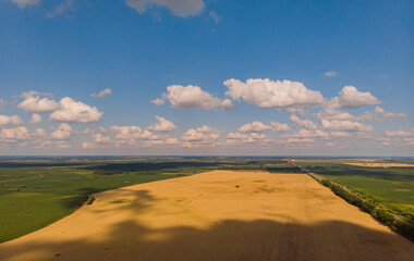 landscape of summer farm wheat field harvest crops