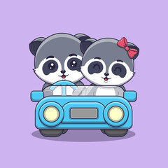 Cute Valentine's day raccoon couple on car