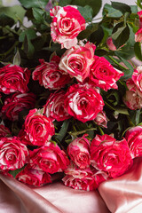 Bouquet of small pink roses on pink fabric background. Dutch roses close up