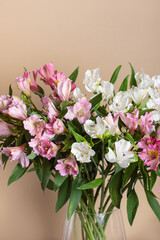 Pink and white alstroemeria in glass vase on beige background