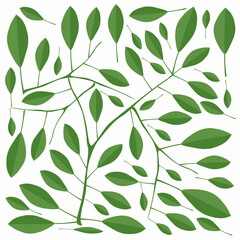 
Illustration Vector of Beautiful Fresh Green Leaves Isolated on A White Background.
