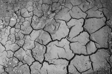 Close-up of cracked, dried earth.