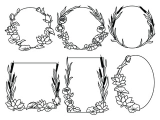Set of floral frames. Collection of beautiful frames with lilies. Botany. Water hunting . Vector illustration  ща swamp plants for a decorative postcard.