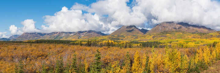 Panoramic landscape in Yukon Territory, northern Canada during September with spectacular fall, autumn colors on perfect blue sky day. 