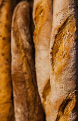 Bakery products. White bread french baguette close-up