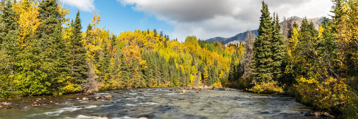 River running through the boreal forest of Canada during fall, autumn season with spruce trees surrounding the rushing water scenic view. 