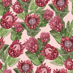 Protea watercolor pattern on pink background