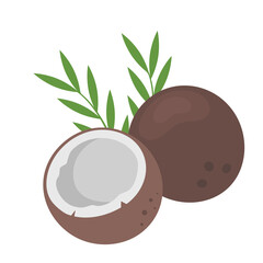 Coconut whole fruit and half sliced for package design. Ripe coconut fruit icon isolated on white background. Organic food, healthy nutrition, vegetarian product. Vector illustration.